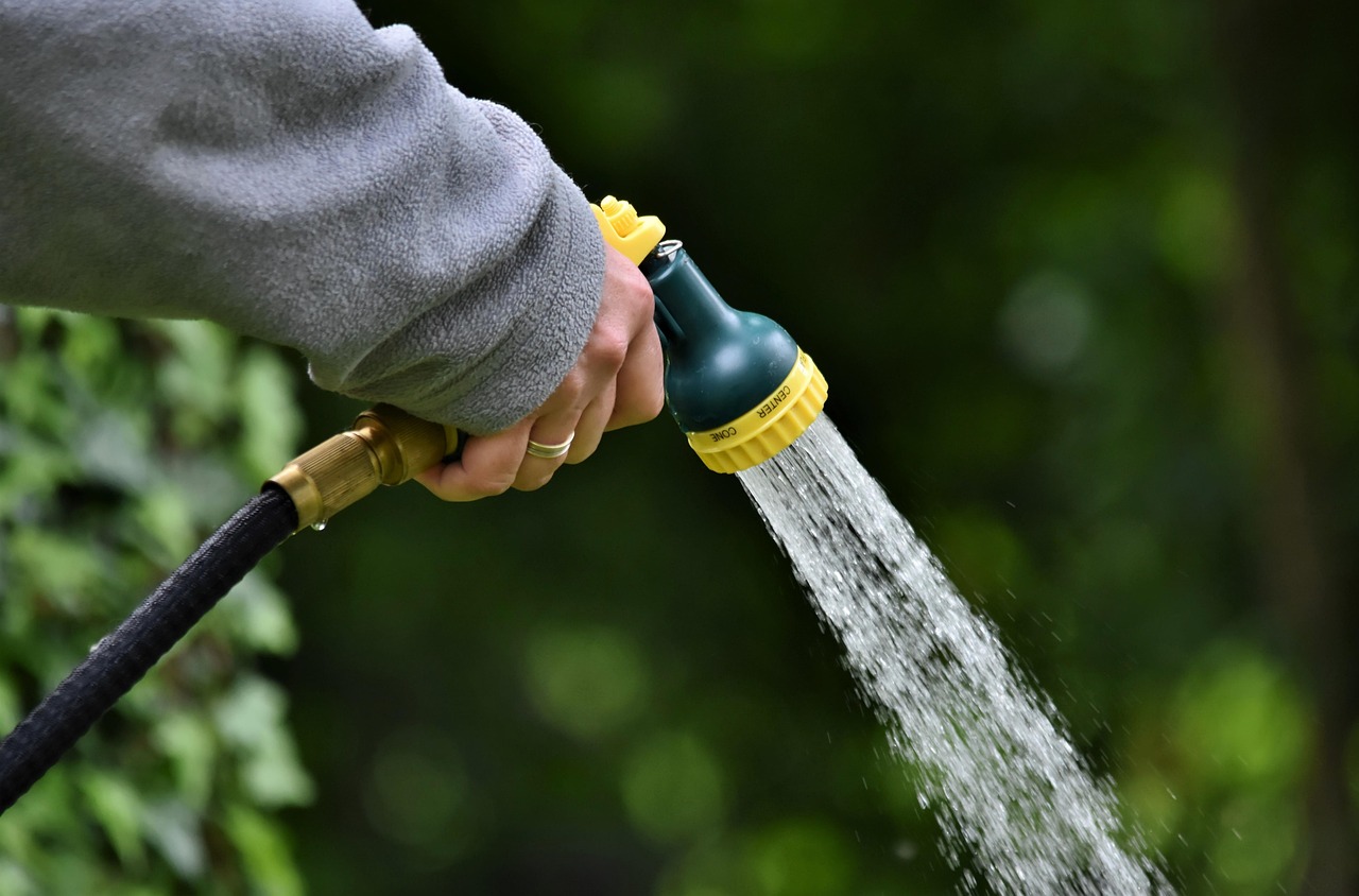 water jet, shower, to water, water, nature, garden, hand, hose