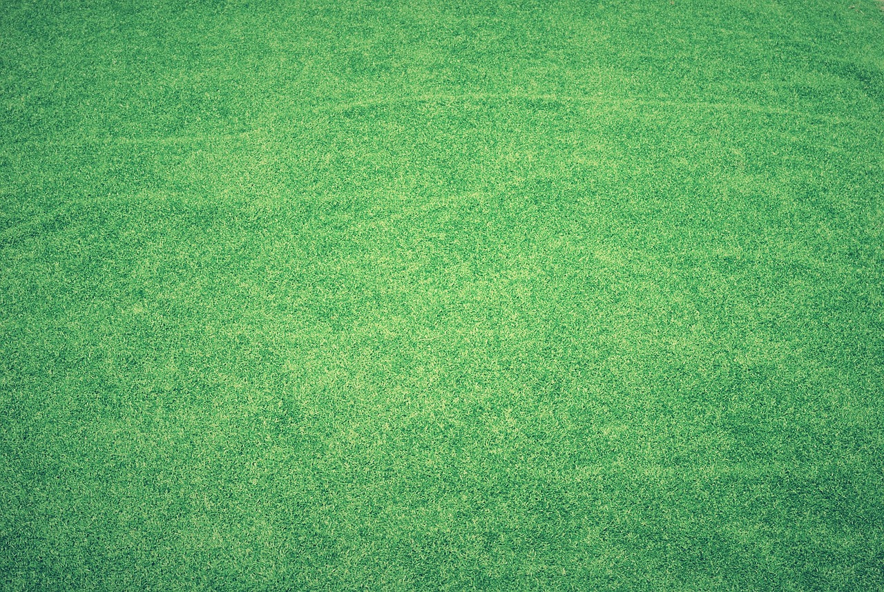 lawn, grass, free wallpaper, full hd wallpaper, beautiful wallpaper, mac wallpaper, free background, 4k wallpaper, artificial grass, desktop backgrounds, green, 4k wallpaper 1920x1080, hd wallpaper, wallpaper hd, laptop wallpaper, field, background, green background, cool backgrounds, green grass, nature, green field, wallpaper 4k, grassy, windows wallpaper, greenery